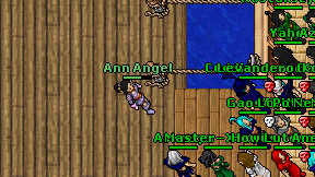 Ann Angel on screen
