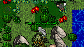 Paloca sie strzala on screen