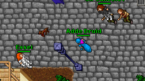 Adde Druid on screen