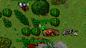 Dannijor on screen