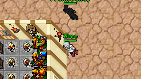 Zime on screen
