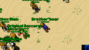 Brother'bear on screen