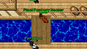 Final Fantasy Healer on screen