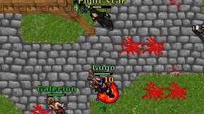 Fight'star on screen