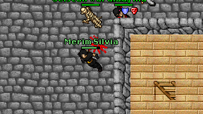 Merim Silvia on screen