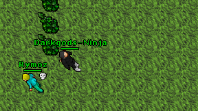 Darkgods-Ninja on screen