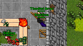 Raelion on screen