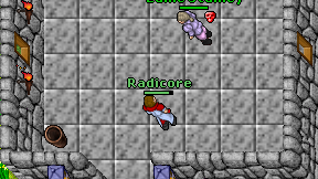 Radicore on screen