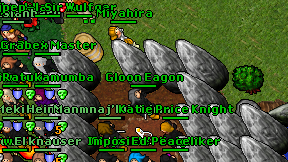 Miyahira on screen