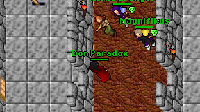 Don Paradox on screen