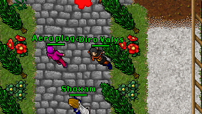Diro Valys on screen