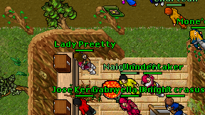 Lady Preetty on screen