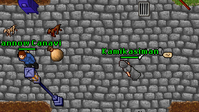 Kamikasiman on screen