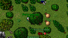 Potrancao on screen