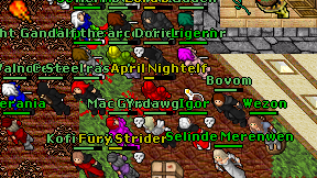 April Nightelf on screen
