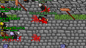 Dizzlex Druida on screen