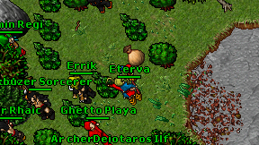 Eterva on screen