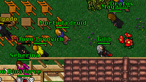 Mortada druid on screen