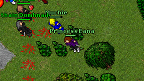 Princess Eana on screen