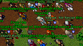 Nuvelik on screen