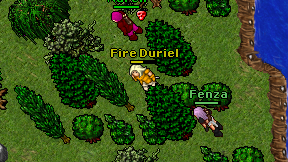 Fire Duriel on screen