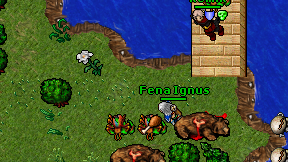 Fena Ignus on screen
