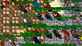 Zaba Druid on screen