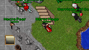 Heros Mage on screen