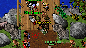 Aquerus on screen