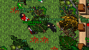 Battle angle on screen