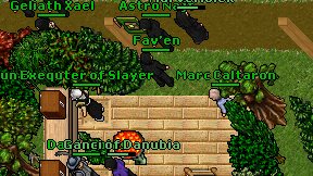 Fav'en on screen