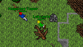 Lukcants on screen