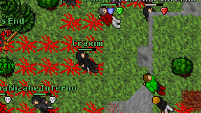 Craxim on screen