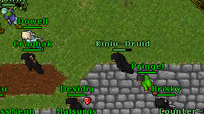 Kiniu-Druid on screen