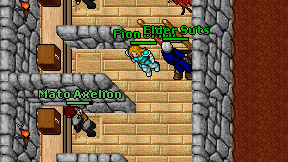 Fion Crimi on screen