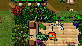 Wolmut on screen