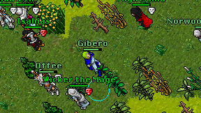 Gibero on screen