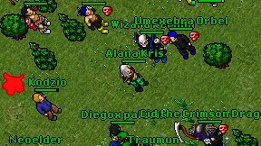 Kodzio on screen