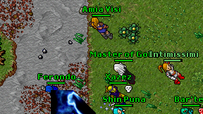 Amia Visi on screen