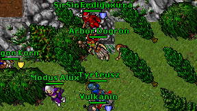 Arbor Dogron on screen