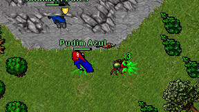 Pudim Azul on screen