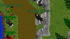 Niebieski Ninja on screen