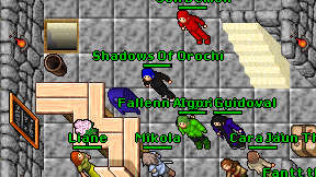 Shadows Of Orochi on screen