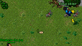 Kiba akmr on screen