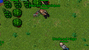 Heros Skipildon on screen