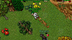 Averiis on screen