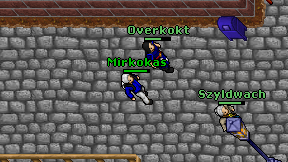 Mirkokas on screen