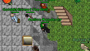 Malice Wanderer on screen