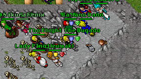 Knight The Bugado on screen