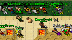 Korn Druid on screen